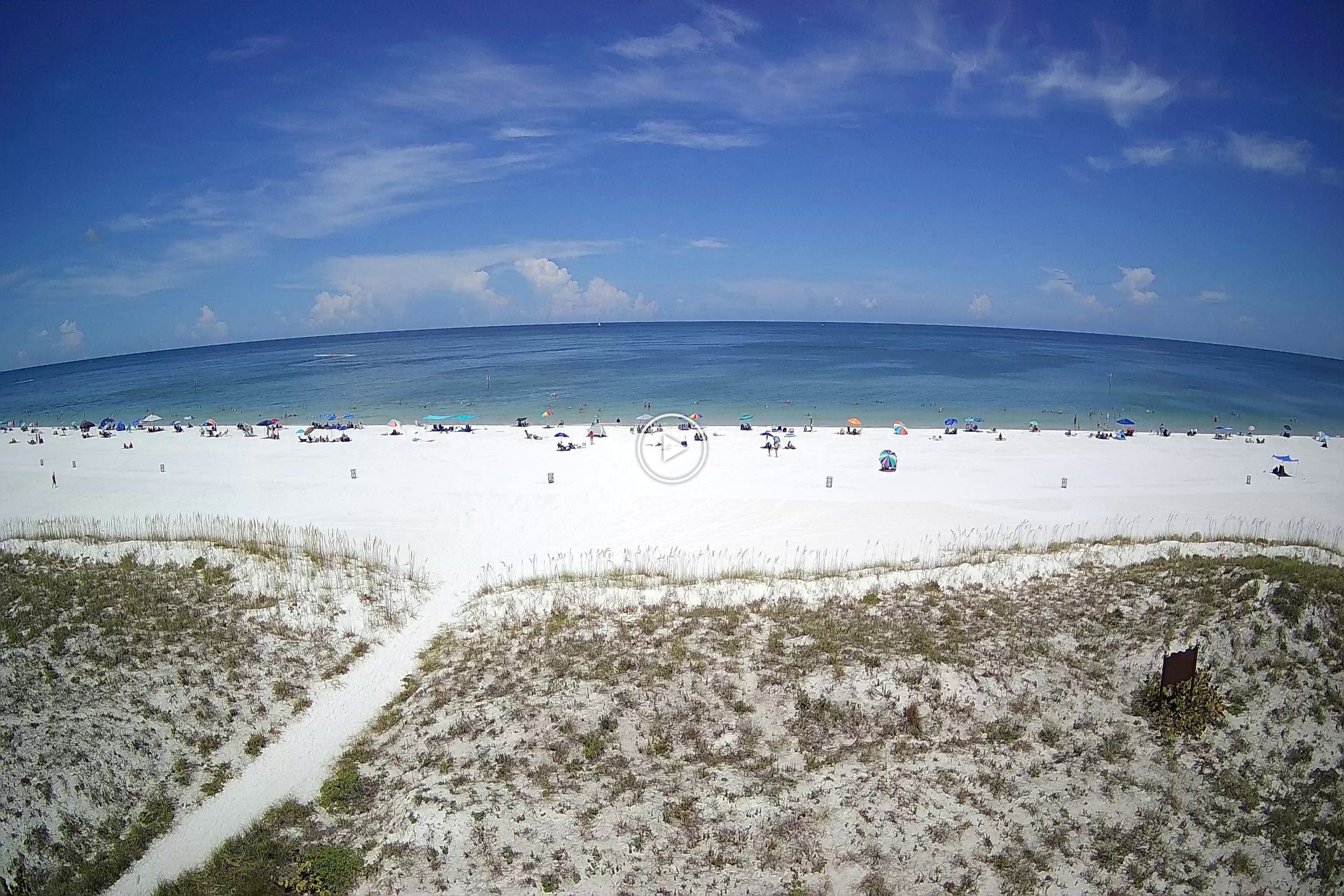 Gulf Coast Beachcams