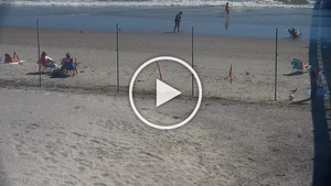 Surfline washout on sale