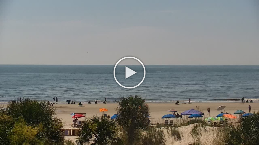 Edisto Beach State Park Live Edisto Beach Webcam