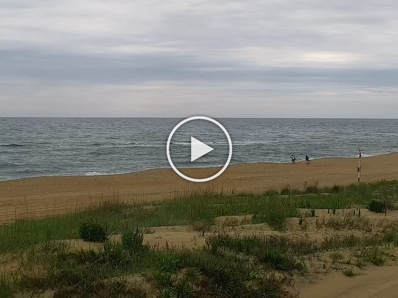 Live Sandbridge Beach North, Sandbridge Beach, Virginia Webcam