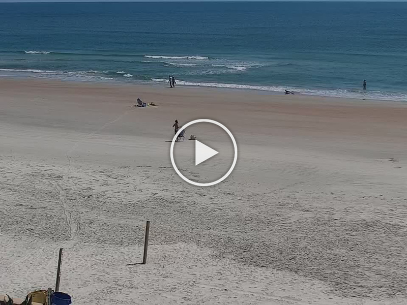 Live Wilbur By The Sea, Daytona Beach, Florida Webcam