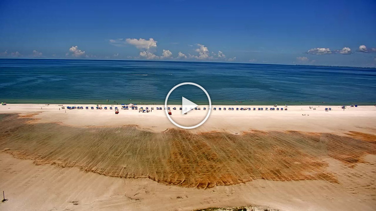 Siesta Key Beach  Siesta Key Webcam  Live Florida Beach Cams