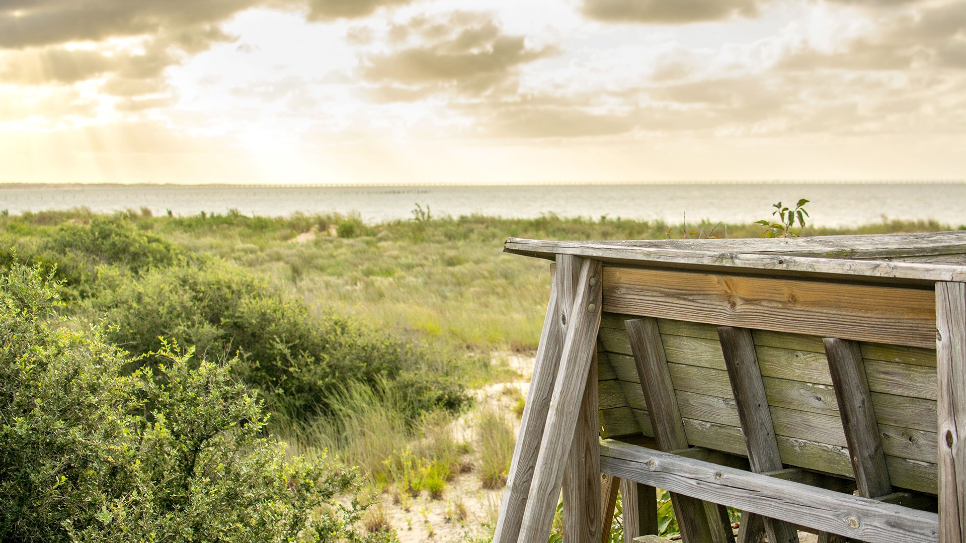 Gulf Coast