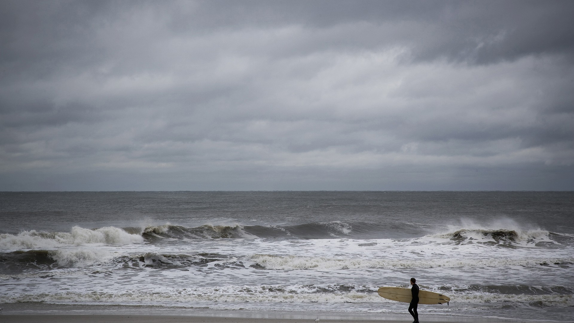 Gulf Coast