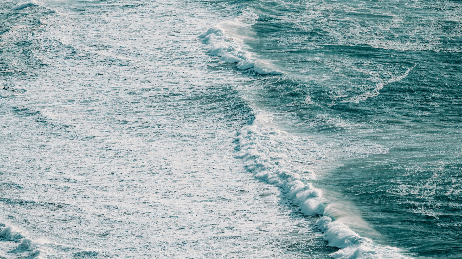 Gulf Coast