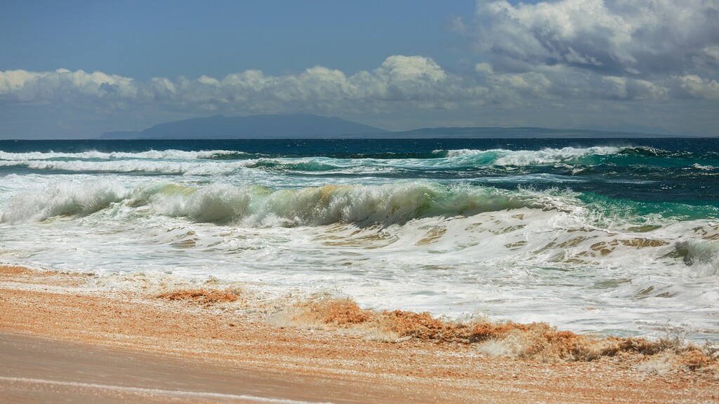 Webcams in Galveston, Texas