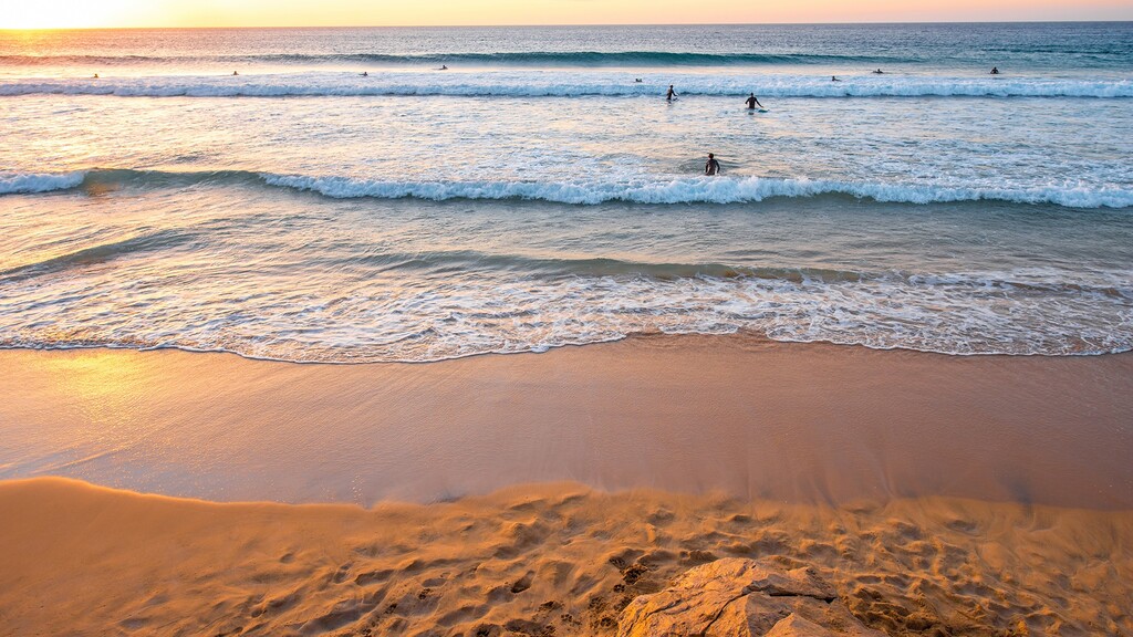Webcams In Melbourne Shores